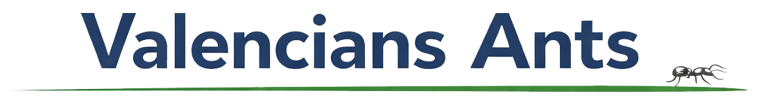 VANTS COORP SL