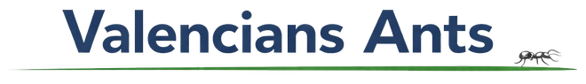  VANTS COORP SL