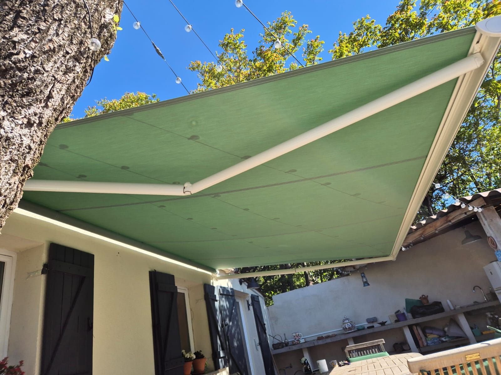 Pergola verte en contreplongée.