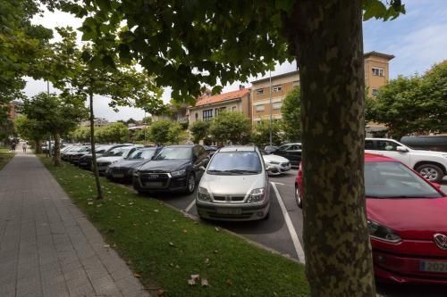 Coches aparcados a lo largo de la acera en una calle arbolada con edificios al fondo.