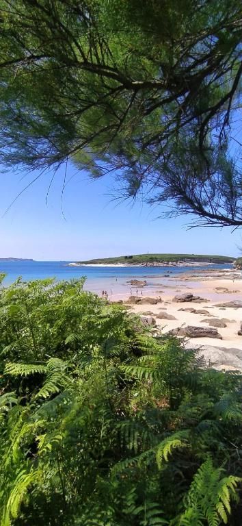 Escena de playa con cielo azul, follaje verde y agua que se encuentra con una orilla arenosa.