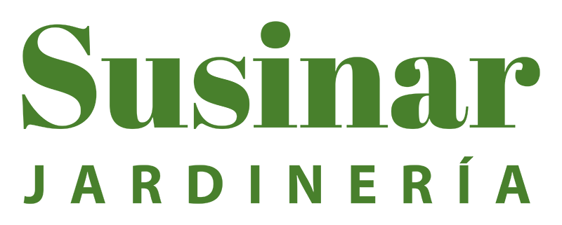 logotipo cabecera