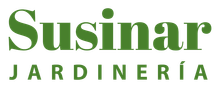 logotipo cabecera