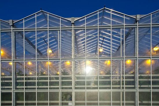 Aussicht durch eine Terrassentür in den Garten