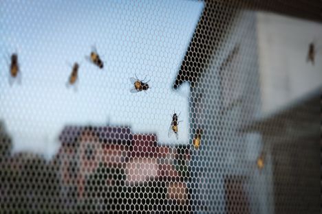 modernes Haus mit Rollläden
