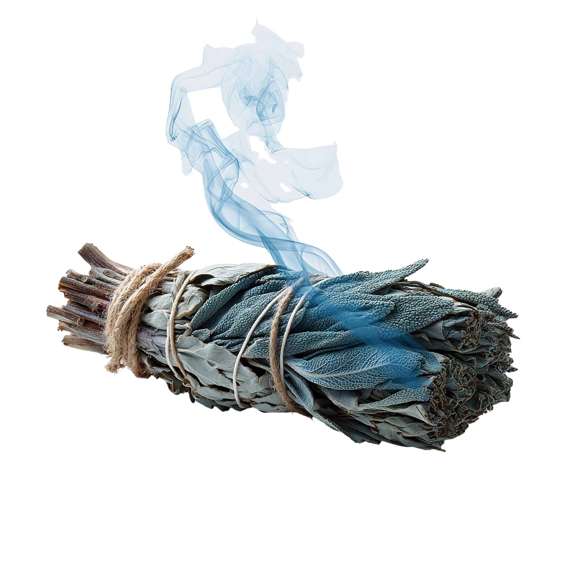 Des fagots de feuilles de sauge, liés par de la ficelle, laissent échapper des volutes de fumée bleue.