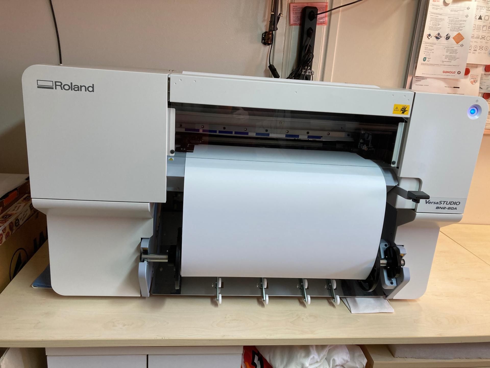 Deutscher Schäferhund auf einem Holzbrett, Zunge herausgestreckt.