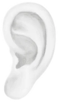 Hörgeräte Münz