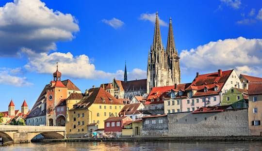 Erhöhter Gehweg und Aussichtsturm in einem Wald mit klarem blauen Himmel.