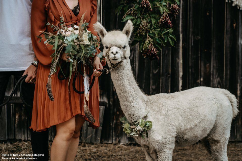 Pusteblume – Blumen und Geschenke – Brautpaar