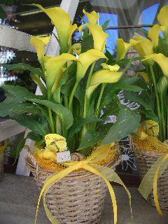 Bluemelade zum Rösslihof