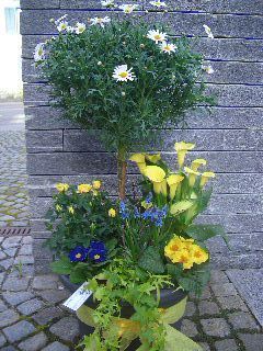 Bluemelade zum Rösslihof