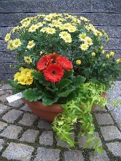 Bluemelade zum Rösslihof