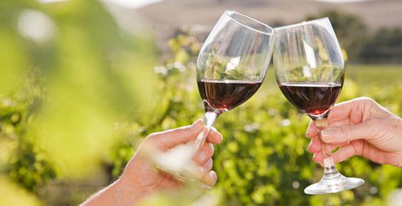 02 vin producteurs récoltants, vente directe - oenologie