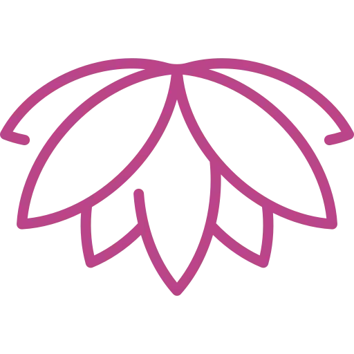 Contour d'une fleur de lotus rose.