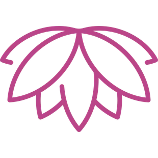 Contour d'une fleur de lotus rose.