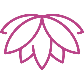 Contour d'une fleur de lotus rose.