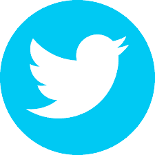 Logotipo del pájaro blanco de Twitter sobre un fondo circular azul