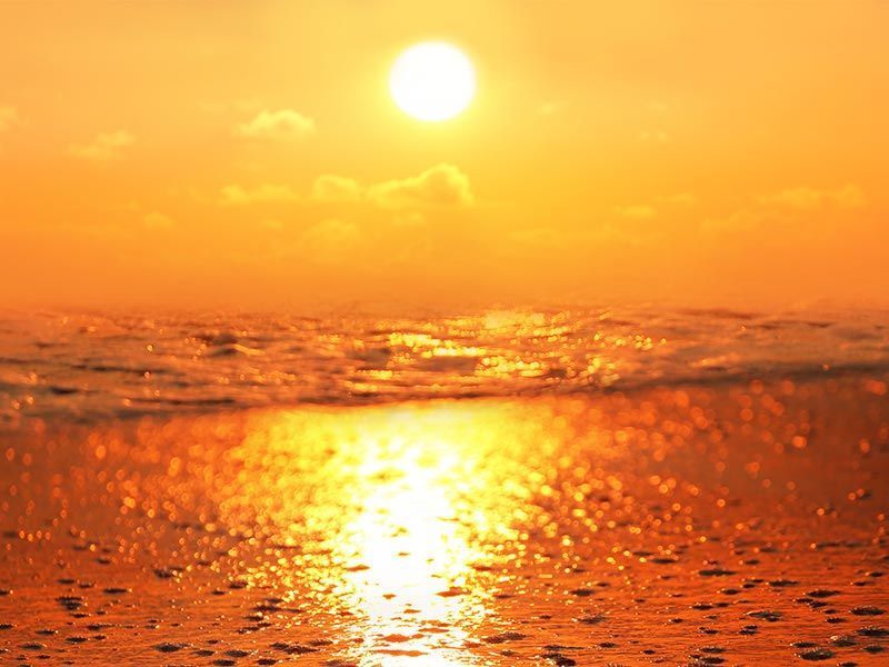 Reisepavillon Sandra Neuber