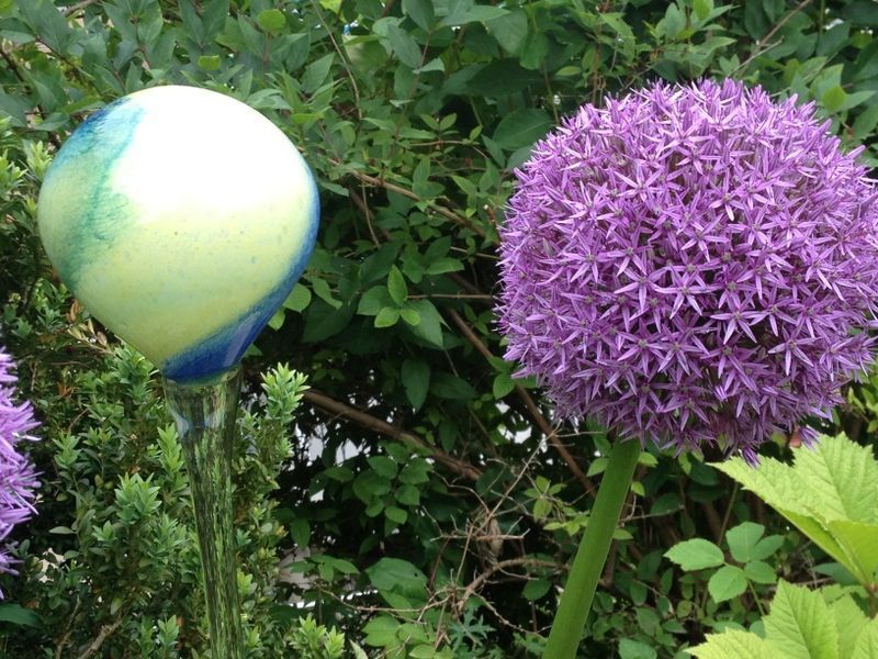 Blumen - Nafzger Gartenbau AG