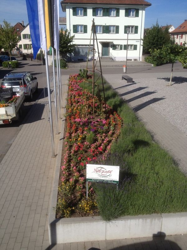 Bepflanzung öffentlicher Raum - Nafzger Gartenbau AG