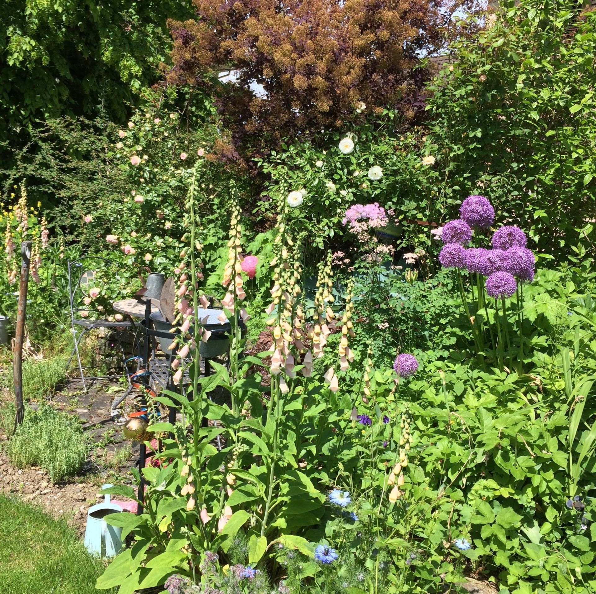 Garten - Nafzger Gartenbau AG