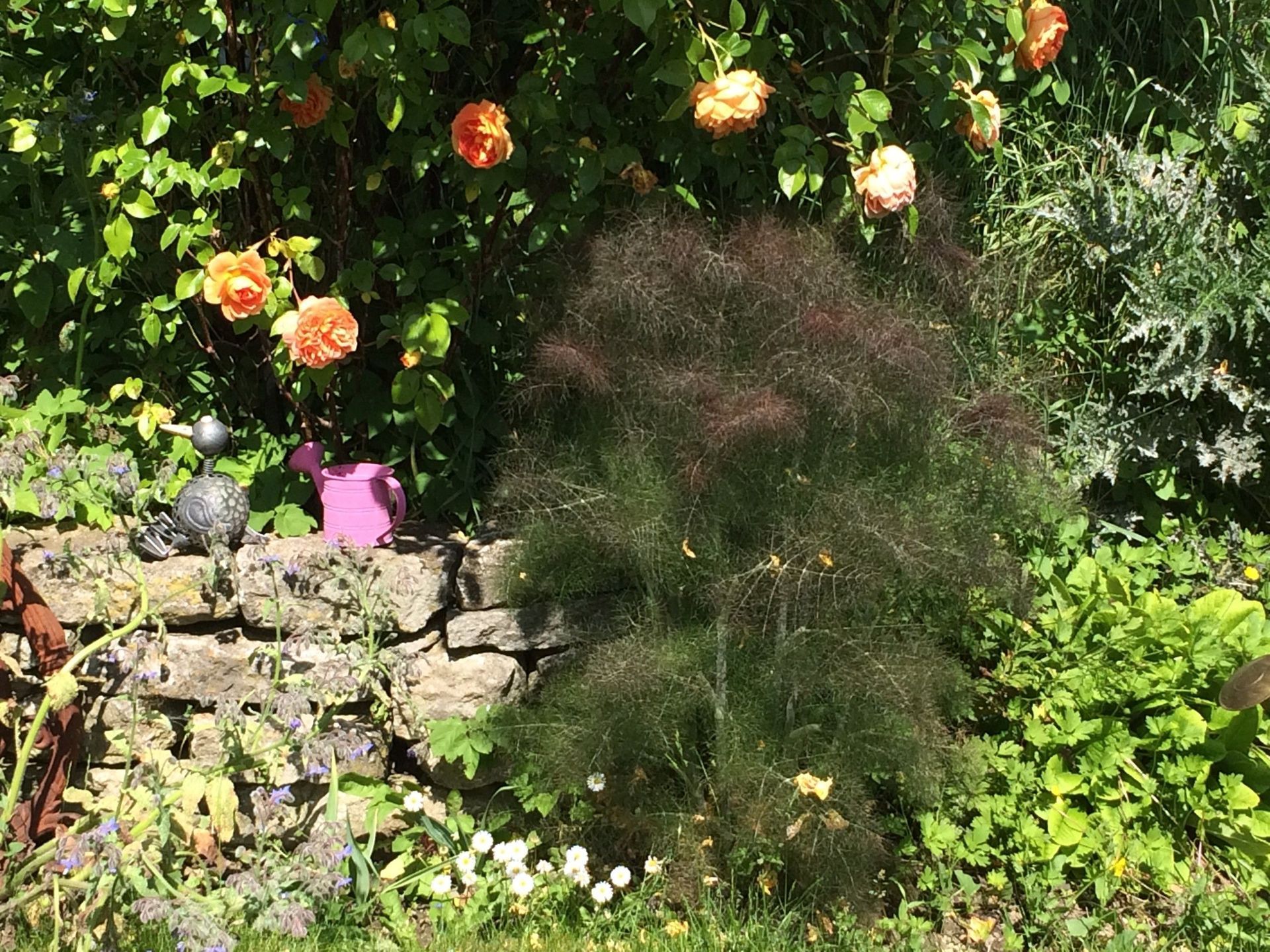 Hecken, Büsche, Blumen - Nafzger Gartenbau AG