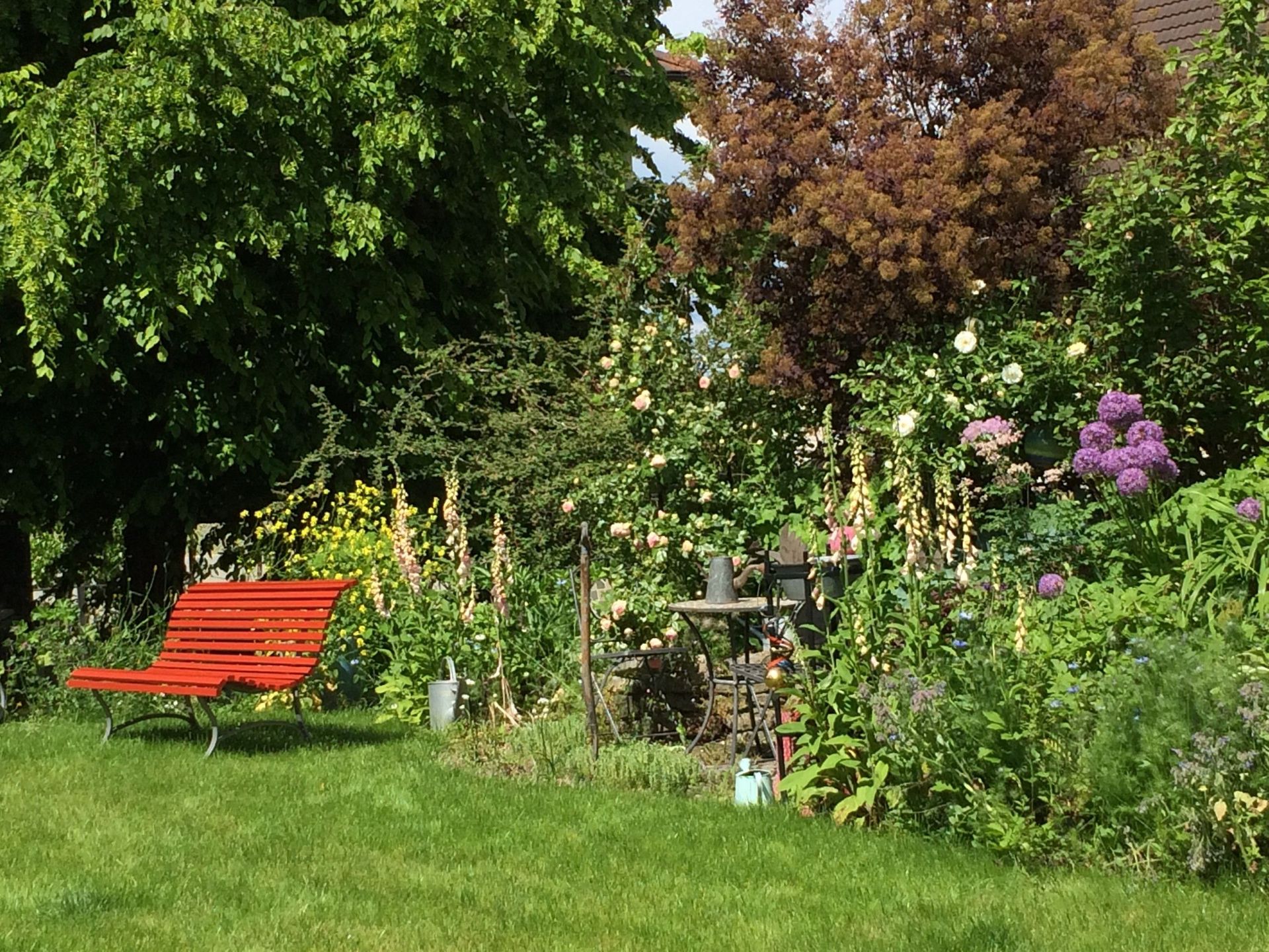 Garten mit Sitzbank - Nafzger Gartenbau AG