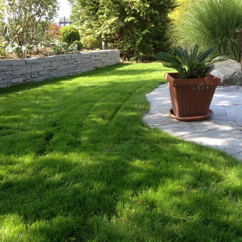 Natursteinplatten- Nafzger Gartenbau AG