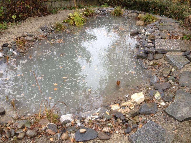 Naturteich - Nafzger Gartenbau AG