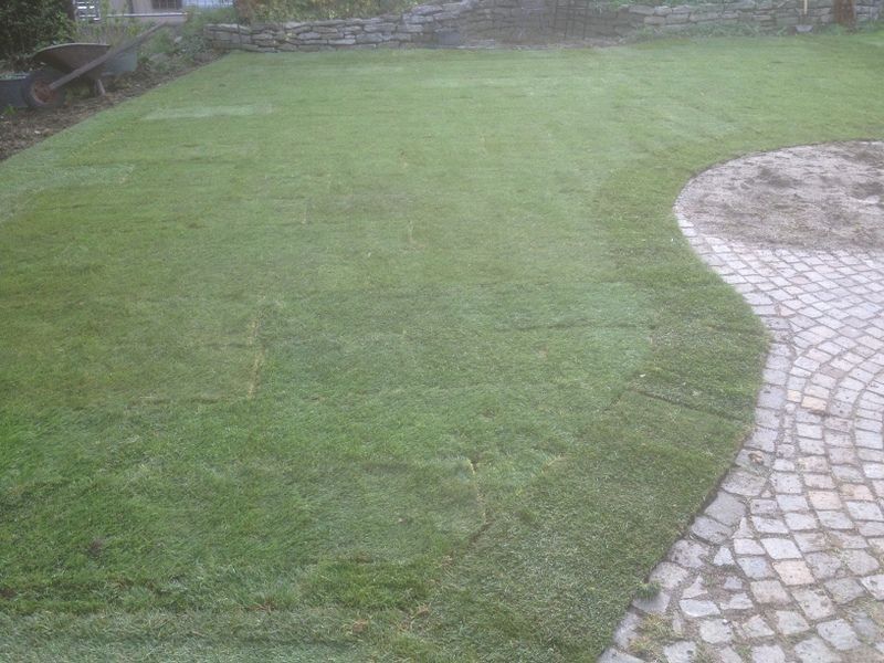 Ausgerollter Rasen - Nafzger Gartenbau AG