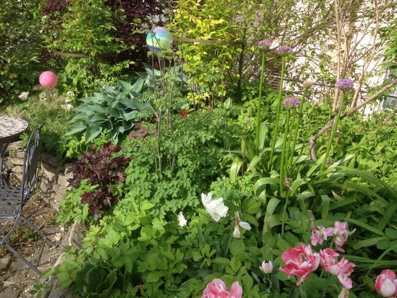 Garten - Nafzger Gartenbau AG