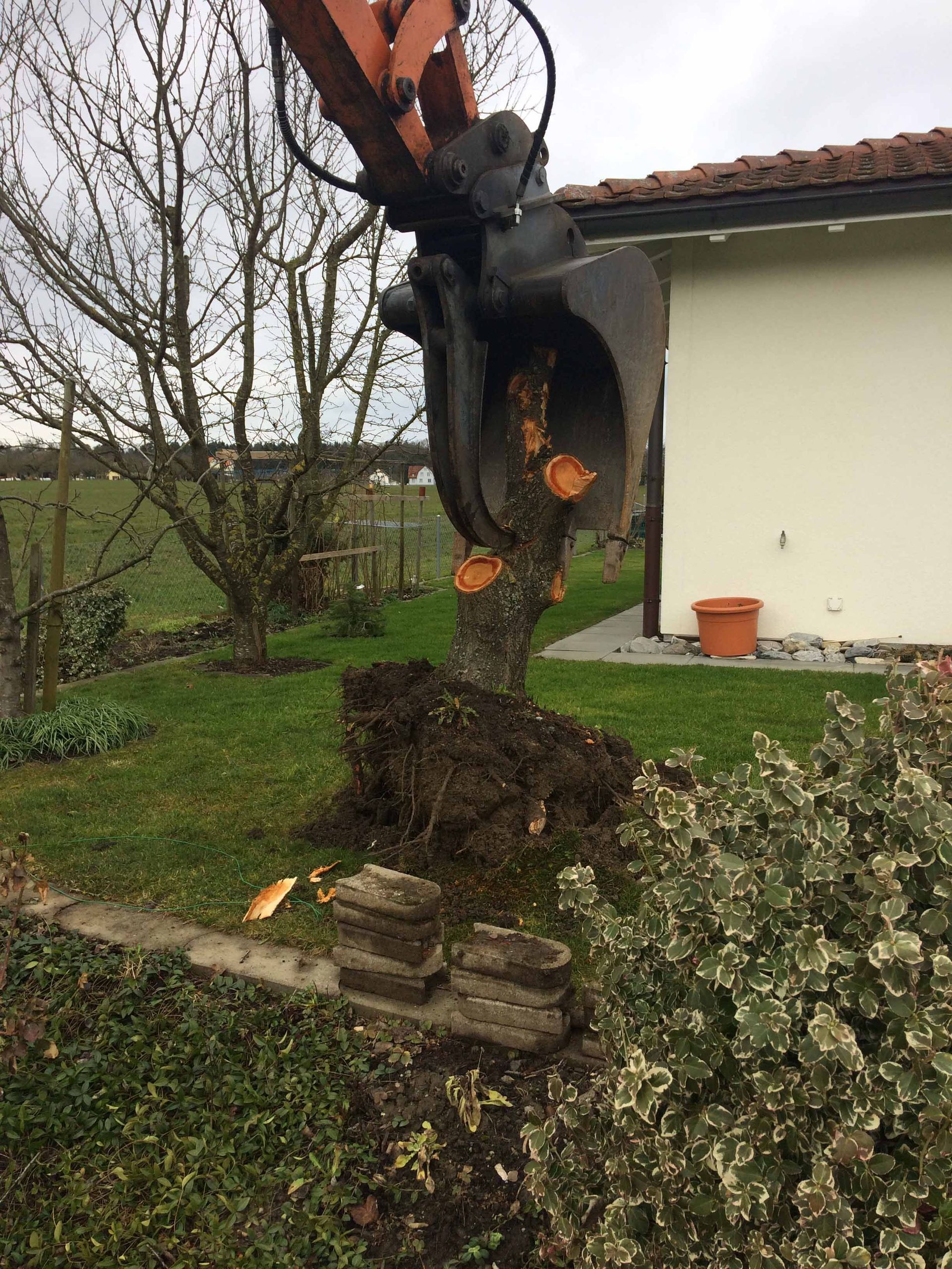 Nafzger Gartenbau AG | Romanshorn