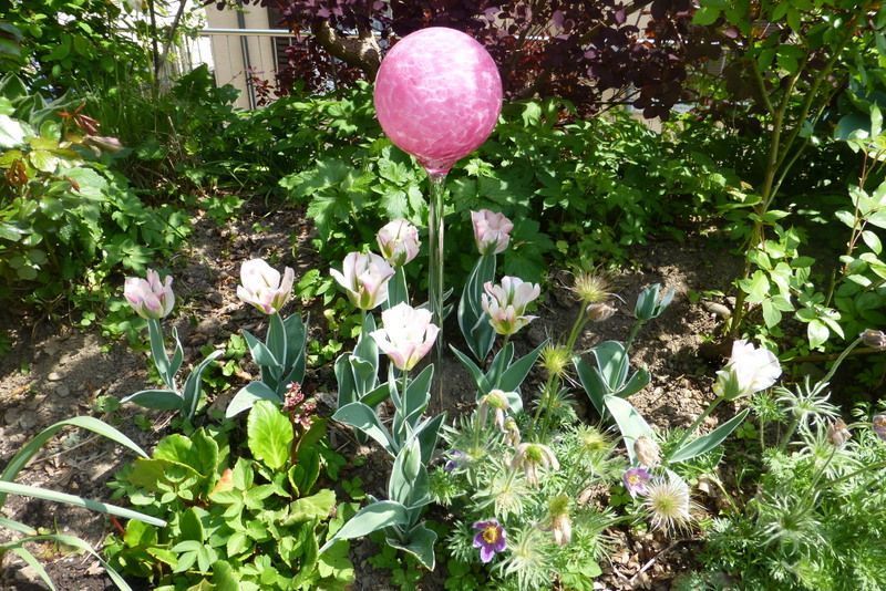 Blumenbeet- Nafzger Gartenbau AG