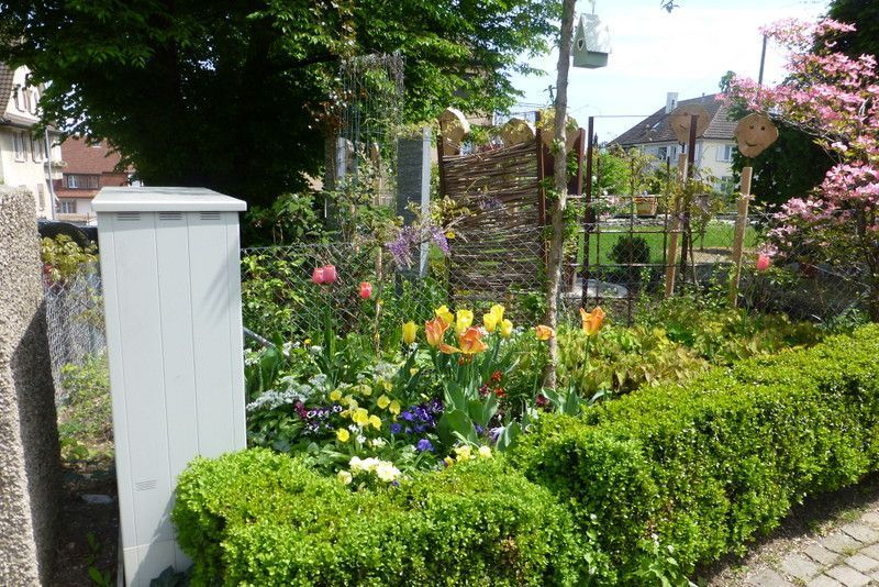 Hecke mit Blumenbeet- Nafzger Gartenbau AG