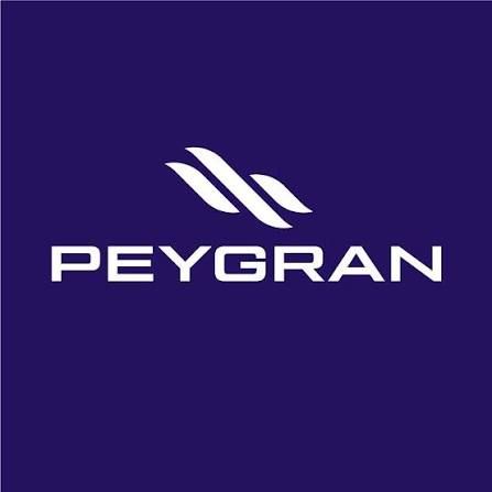 Logotipo de PEYGRAN en blanco sobre fondo morado oscuro.
