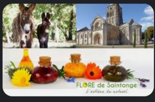 Publicité sur la flore de Saintonge