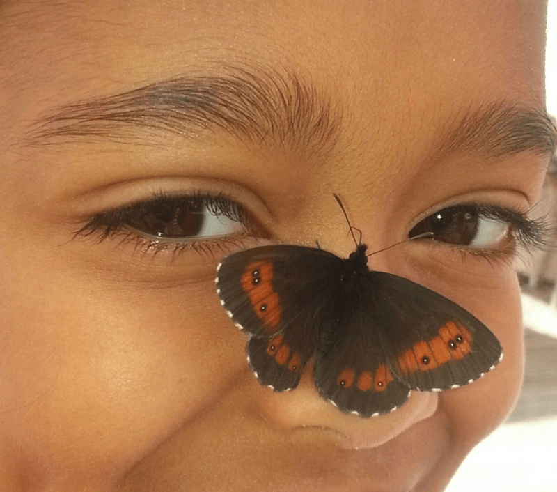 Zahnarztpraxis Dr. Lothar FRANK