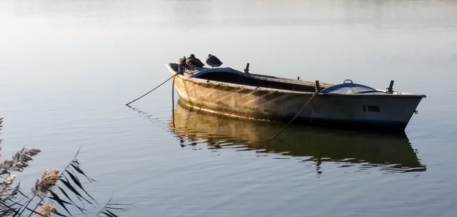 Una pequeña barca de madera flotando en aguas tranquilas, con una cuerda atada y reflejos en el lago.