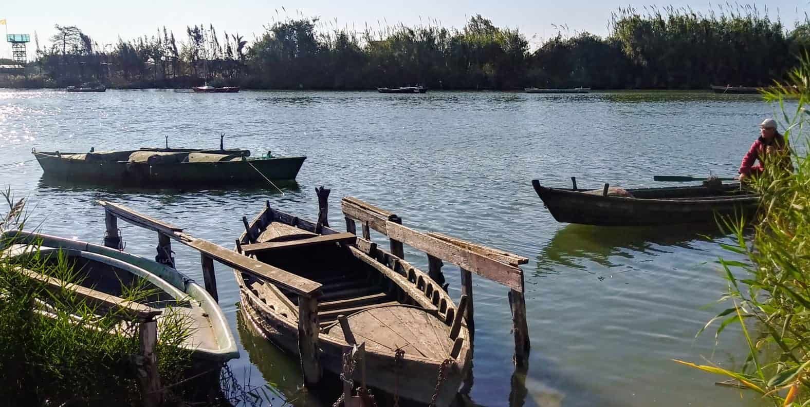 Pequeñas barcas de madera amarradas en la orilla de un lago tranquilo, con juncos y árboles al fondo.