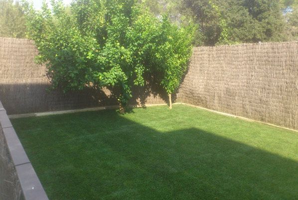 Un exuberante patio verde con una cerca y árboles en el fondo.