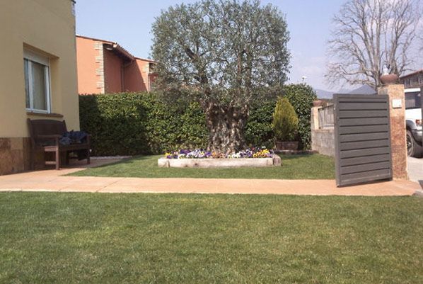 Un exuberante césped verde frente a una casa