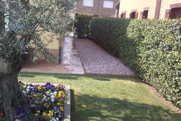 Un jardín con un árbol y flores delante de una casa.