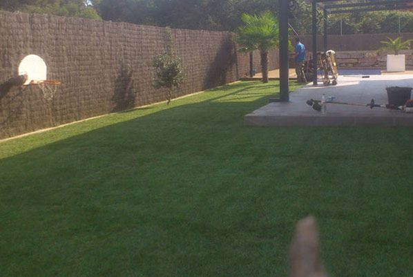 Una persona señala un exuberante césped verde en un patio trasero.