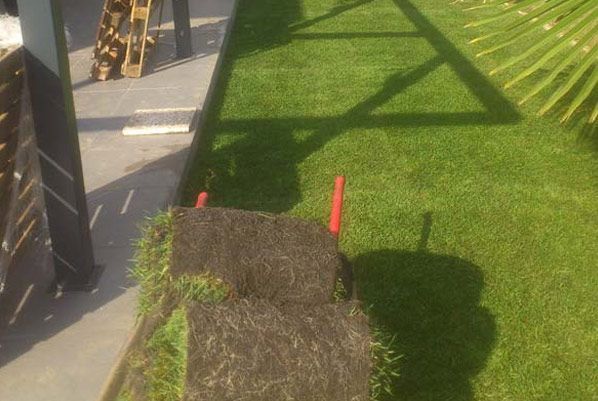 Una carretilla está colocada sobre un exuberante césped verde.