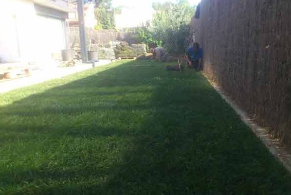 Un césped verde y exuberante en un patio trasero al lado de una valla.