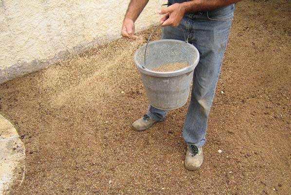 Un hombre sostiene un cubo de tierra en sus manos.