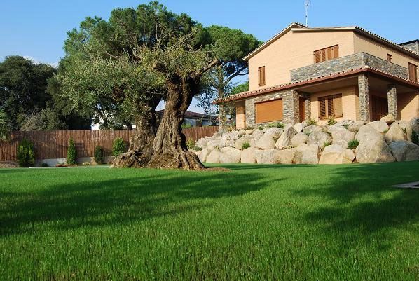 Una casa grande con un gran árbol delante de ella.