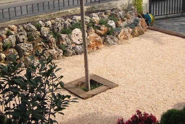 Un árbol está en un agujero en el suelo en un jardín rodeado de rocas.