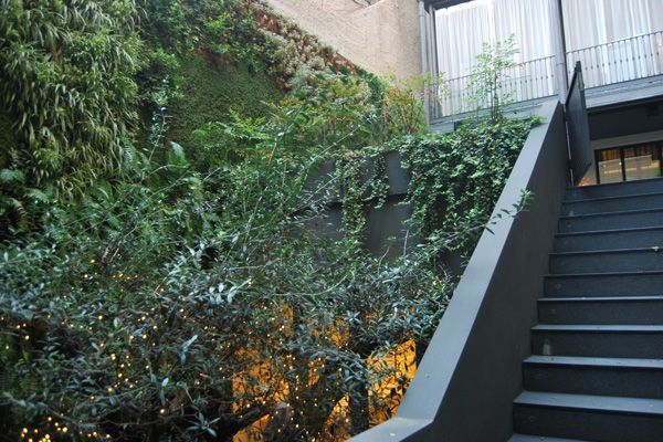Un conjunto de escaleras que conducen a un edificio con una pared verde detrás de ellas.